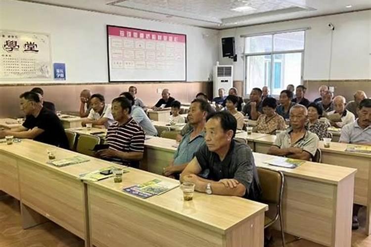 香榧常见病虫害的防治方法？