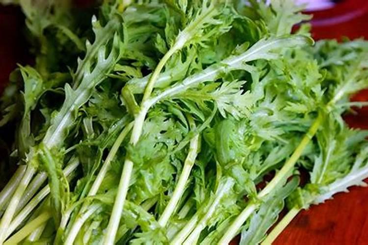揭秘茼蒿高效种植：掌握技术要点，收获绿色健康