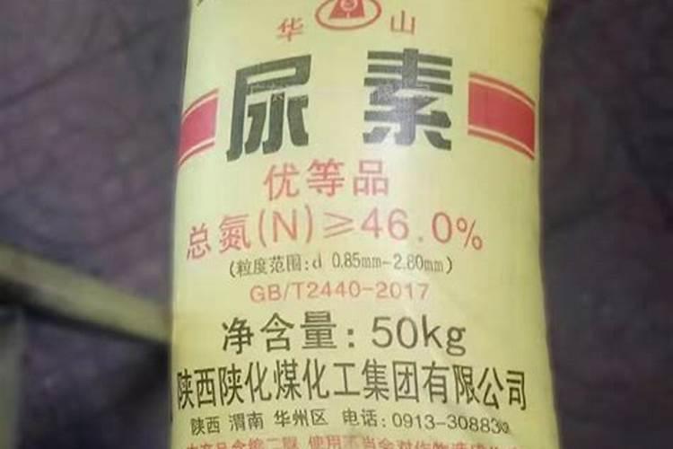 尿素里面含钾还是含氮肥呀为什么？