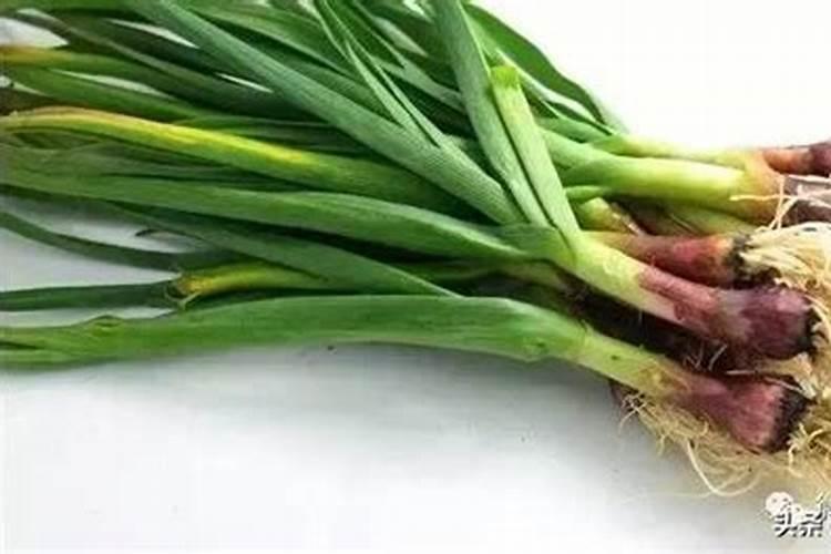 大蒜田葎草怎么防治