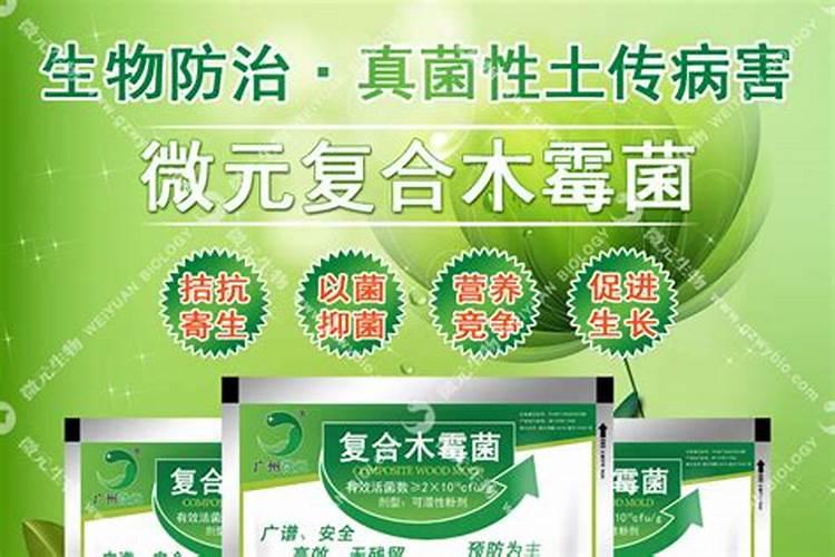 生物农药绿色木霉菌简介