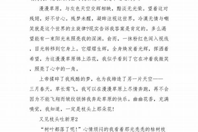 又见枝头吐嫩芽,作文,急!!!要初中生的水平.