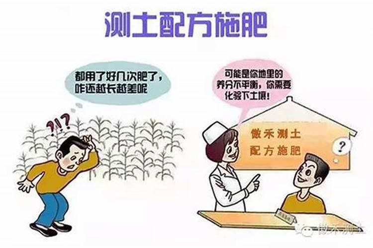 绿色崛起：大棚蔬菜测土配方施肥技术揭秘