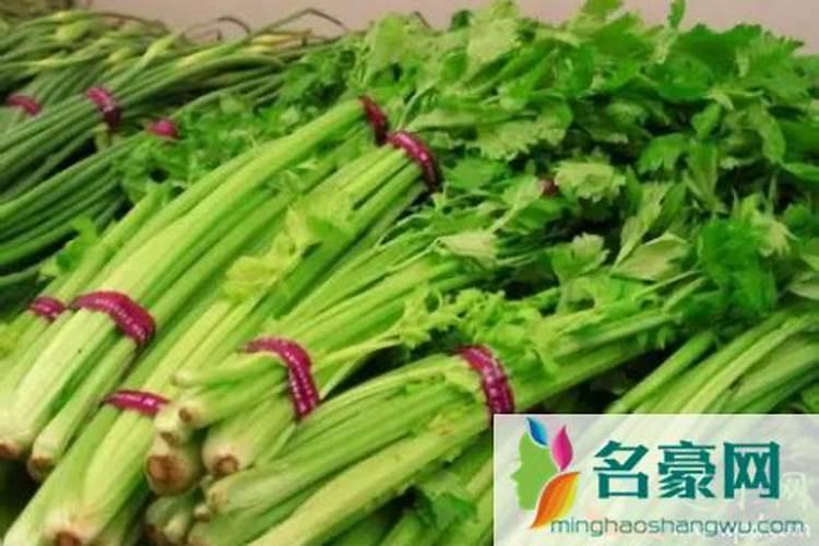 芹菜苗期烂根是什么病？