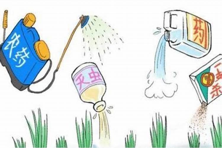 绿色守护：合理农药间隔助力健康菜园