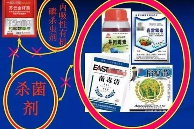 农药混用会出现哪些情况