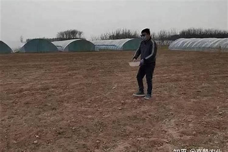 地下害虫用啥<a href=