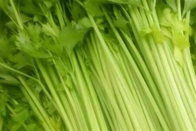 芹菜得了软腐病怎么办？