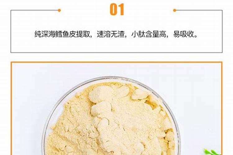 鱼蛋白用多少量最好？