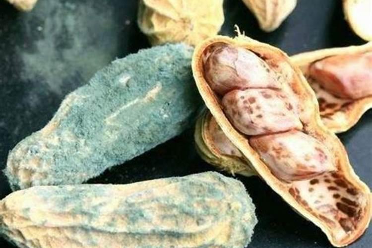 有病种子怎么看？