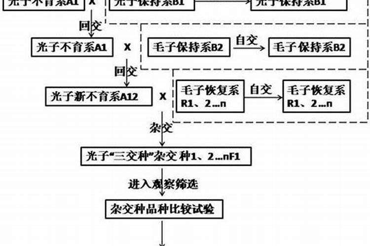 引种制种,如何查“有病没病”？