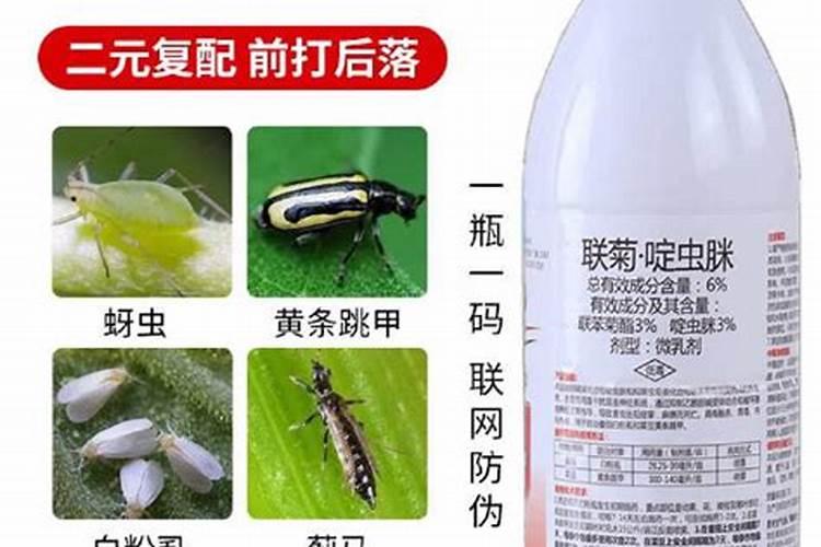 啶虫脒主要杀什么虫