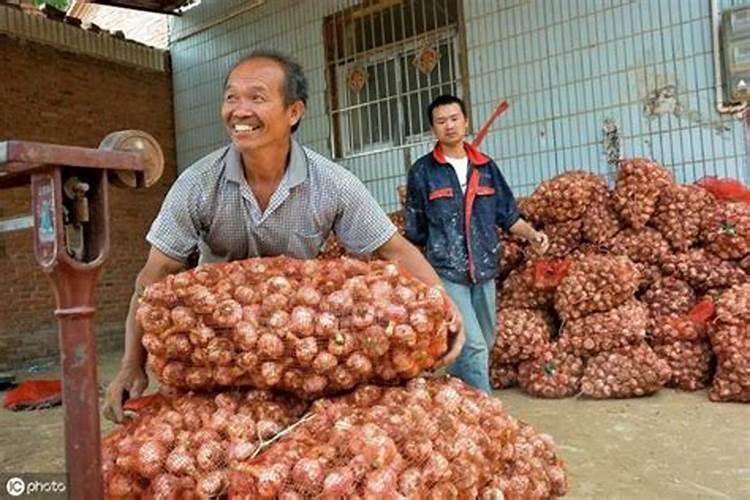 大蒜空心是什么原因？
