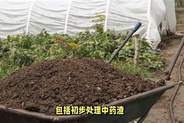 大棚垃圾如何发酵做肥料？
