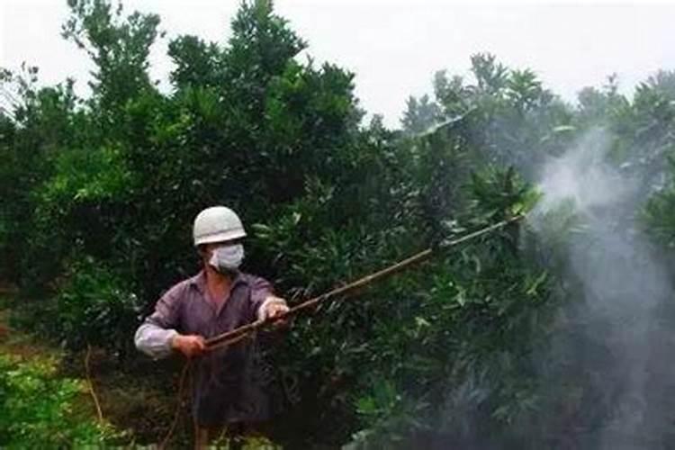 直接在喷雾器中配药应注意什么？