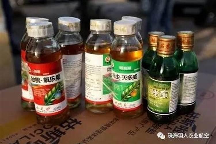 过期农药怎么处理处罚