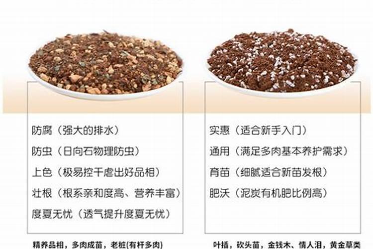 营养土是什么成分