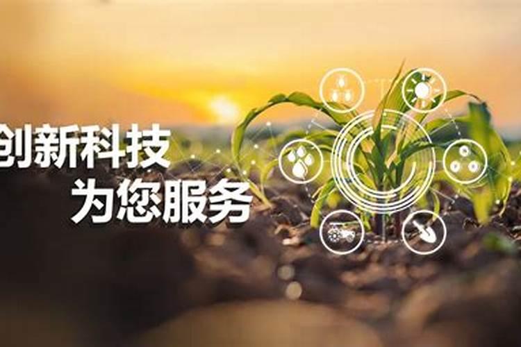 郑州郑氏化工水溶肥怎样