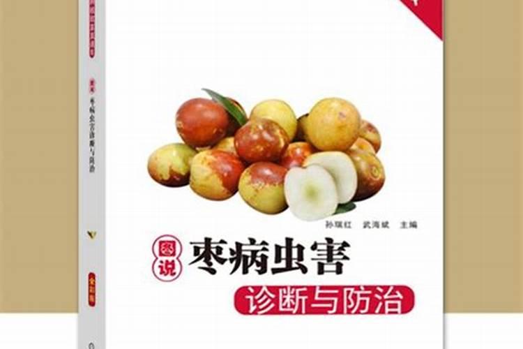枣树病虫害防治