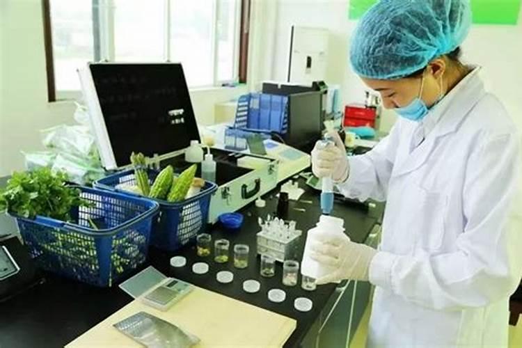 揭秘农药遗传毒性的侦测之眼：常用检测方法剖析？