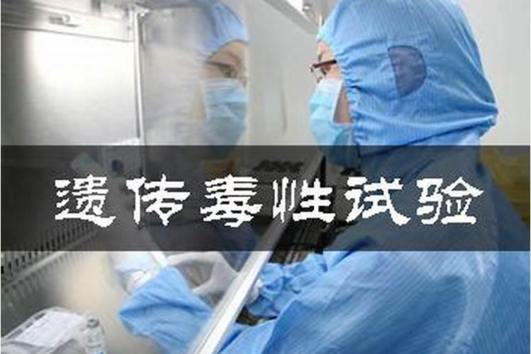 遗传毒性试验实验方法