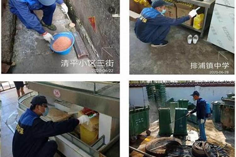 守护绿色宝库：苹果园的有害生物防治与环境保护策略