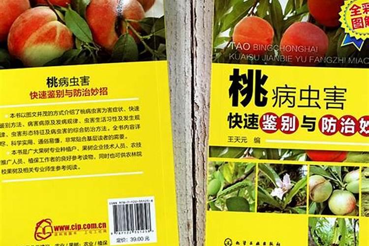 棚桃病虫害防治的新策略：综合管理与绿色防控并重
