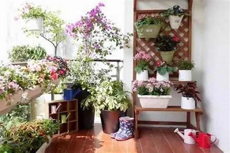 怎样种花不会让花死