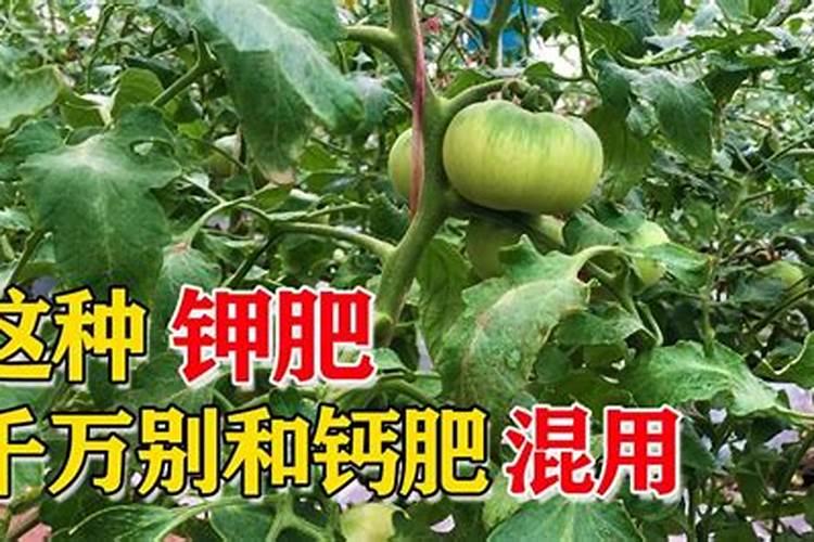 钙肥能不能和钾肥混用