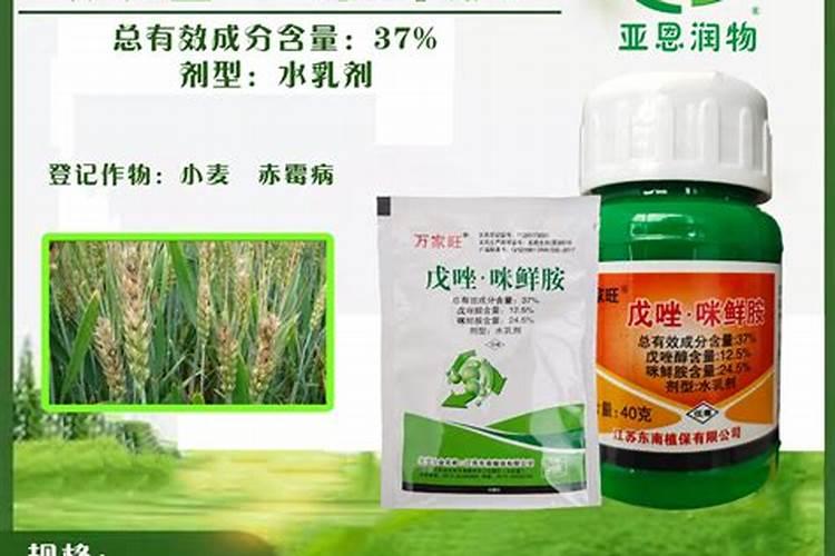 戊唑咪鲜胺治大蒜锈病吗
