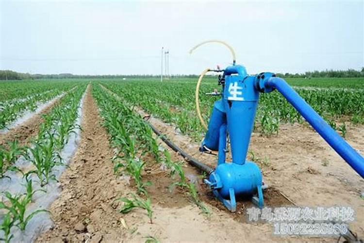 滴灌玉米追肥技术要点：实现高产高效的关键步骤