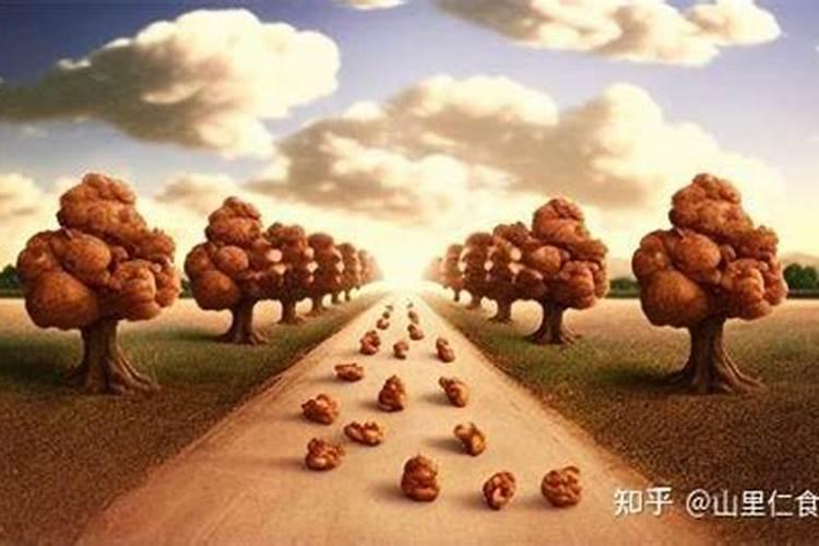 核桃树的守护者：一年中的药物护航