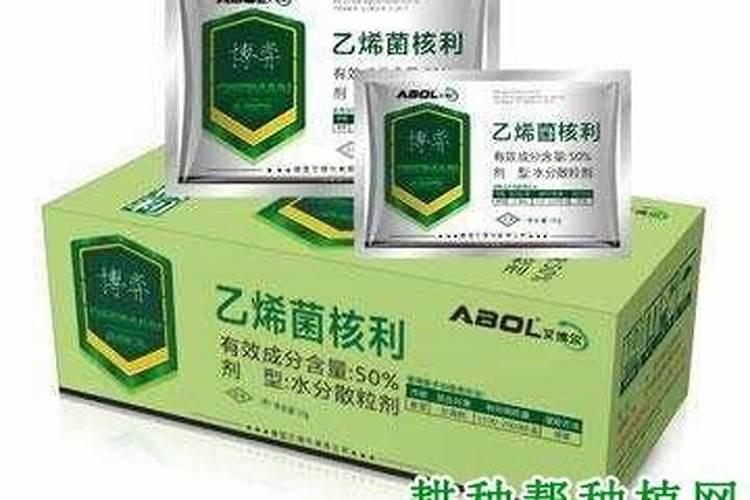 乙烯菌核利可防治的病害