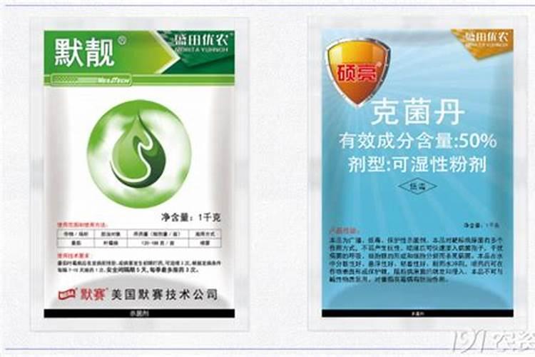 克菌丹：守护植物健康的可靠盾牌