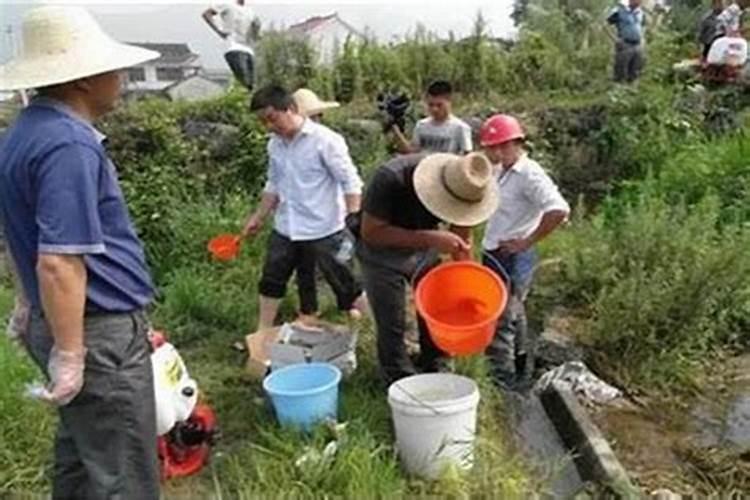 田野守护者的智慧：农药药效的鉴别与发挥