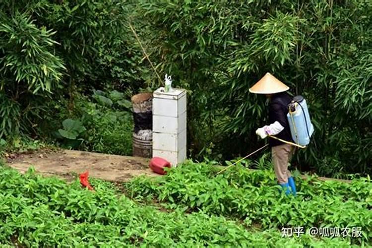 农药混用注意五点,分别是什么？