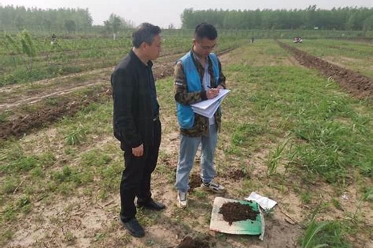 绿色农业：施肥过程中的科学与注意事项