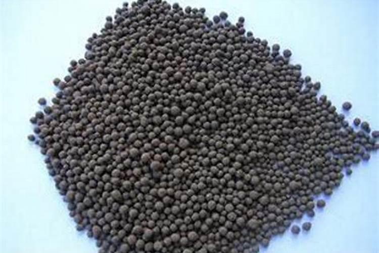 橡皮树用磷肥好吗怎么用的？