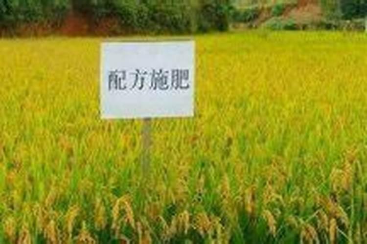 实施测土配方施肥有哪些步骤？