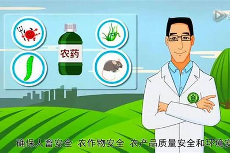 守护绿色安全：科学保管农药的策略与实践