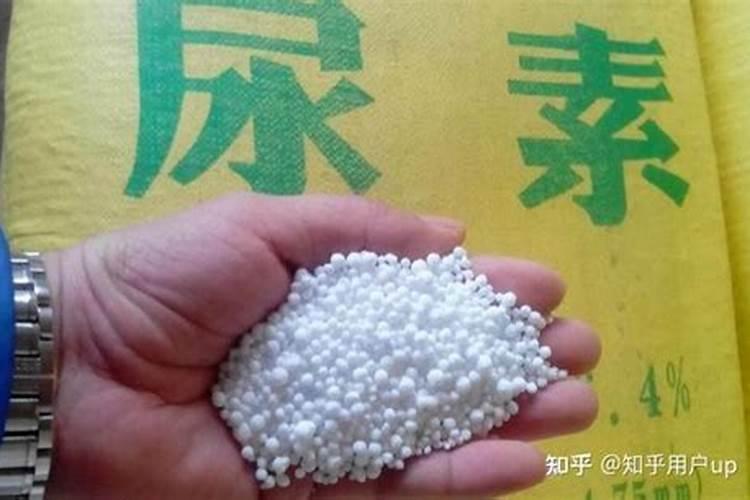 施用尿素注意事项有哪些