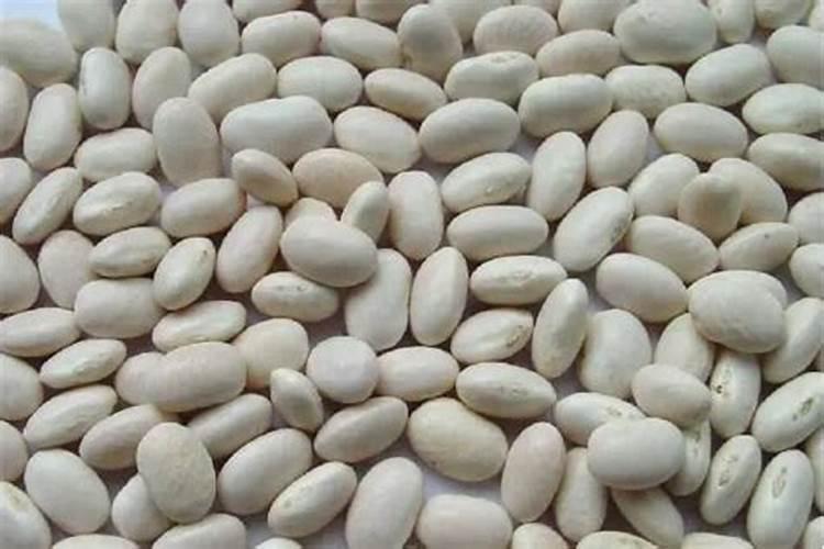 芸豆施肥新方法：提升产量与品质的关键？