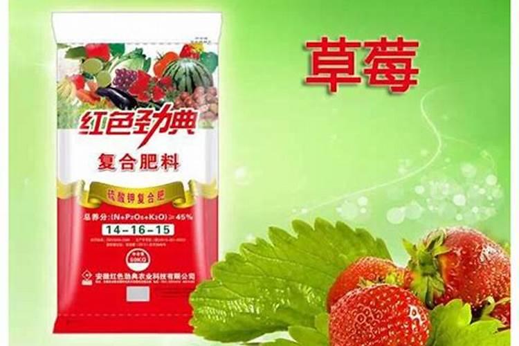 宁波瓜果缓控释肥厂家有哪些？