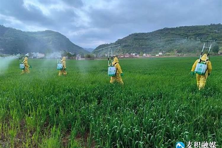 绿色守护：多抗霉素在农业病害管理中的应用与技术？