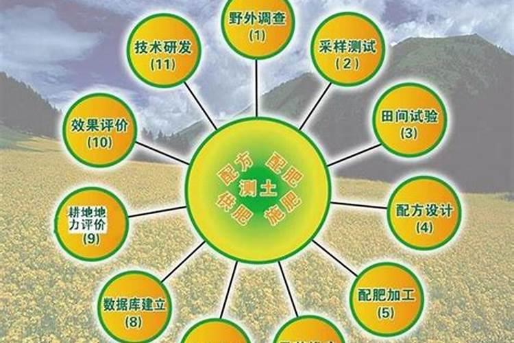 果园增产秘籍：科学配方施肥技术全解析