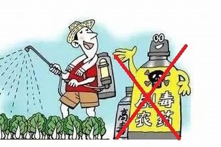 低毒农药也不可过多使用,如何正确使用低毒农药？