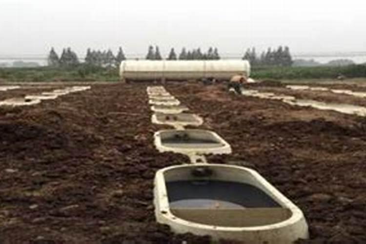 沼气液怎么利用你知道吗？