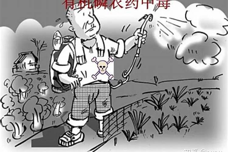 田野之危：探究影响农药中毒的关键因素