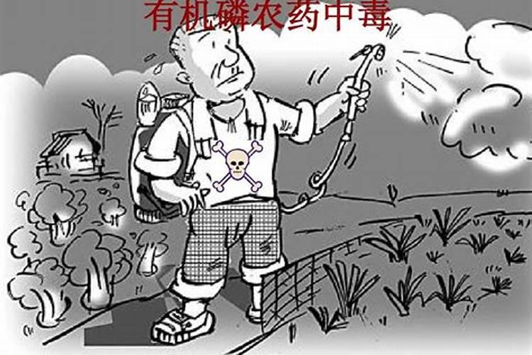 解毒之道：有机磷农药中毒的饮食与食疗