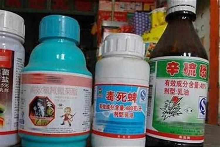 低温季节使用农药的有哪些问题需要注意